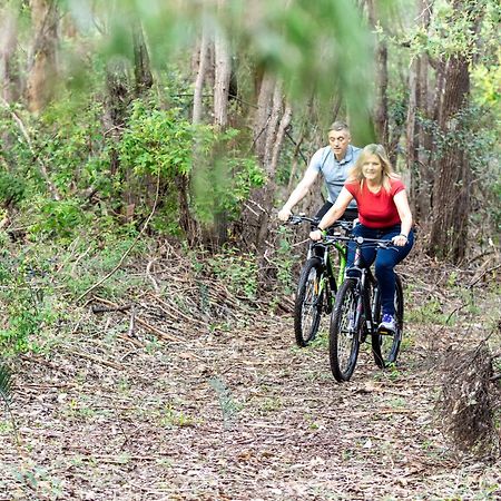 Jarrah Grove Forest Retreat - Adults Only Luxury Chalet Rosa Glen Zewnętrze zdjęcie