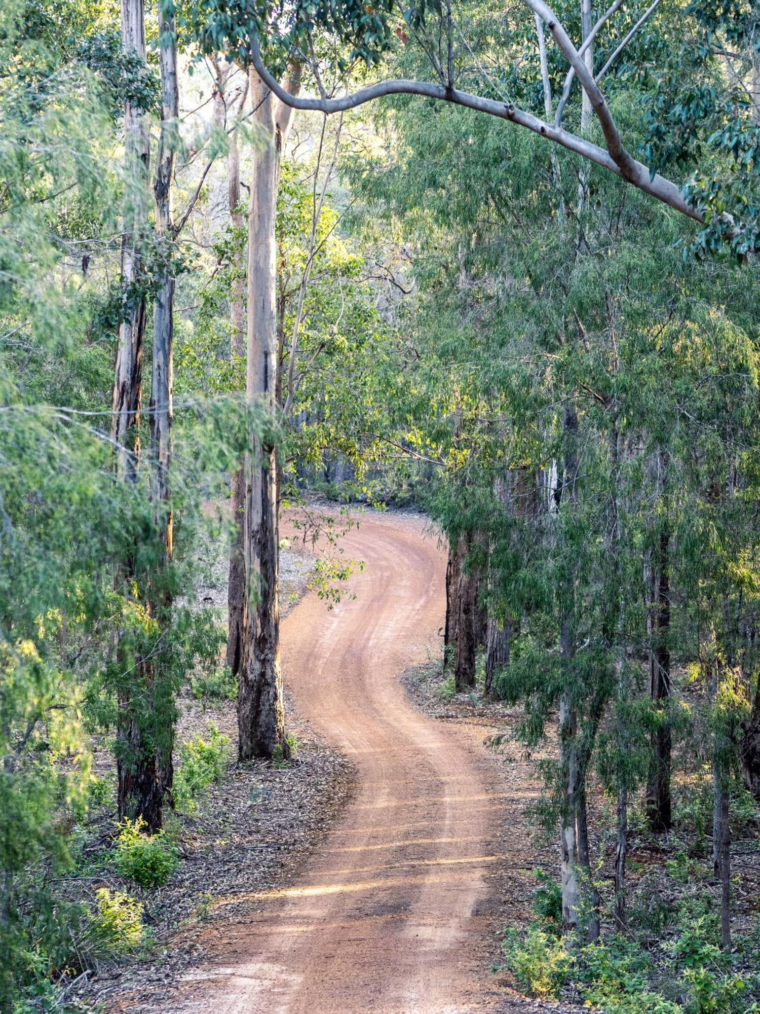 Jarrah Grove Forest Retreat - Adults Only Luxury Chalet Rosa Glen Zewnętrze zdjęcie