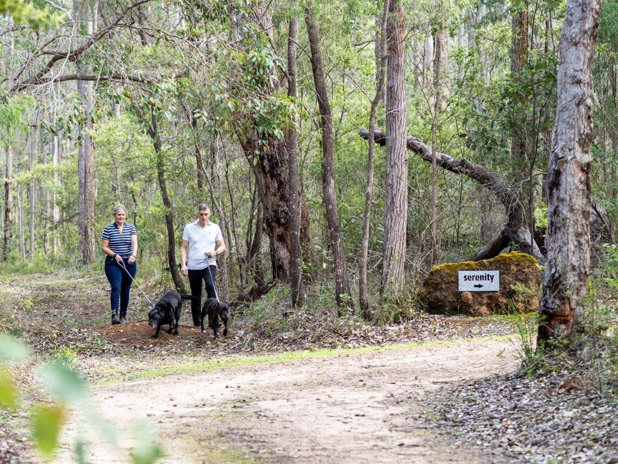 Jarrah Grove Forest Retreat - Adults Only Luxury Chalet Rosa Glen Zewnętrze zdjęcie