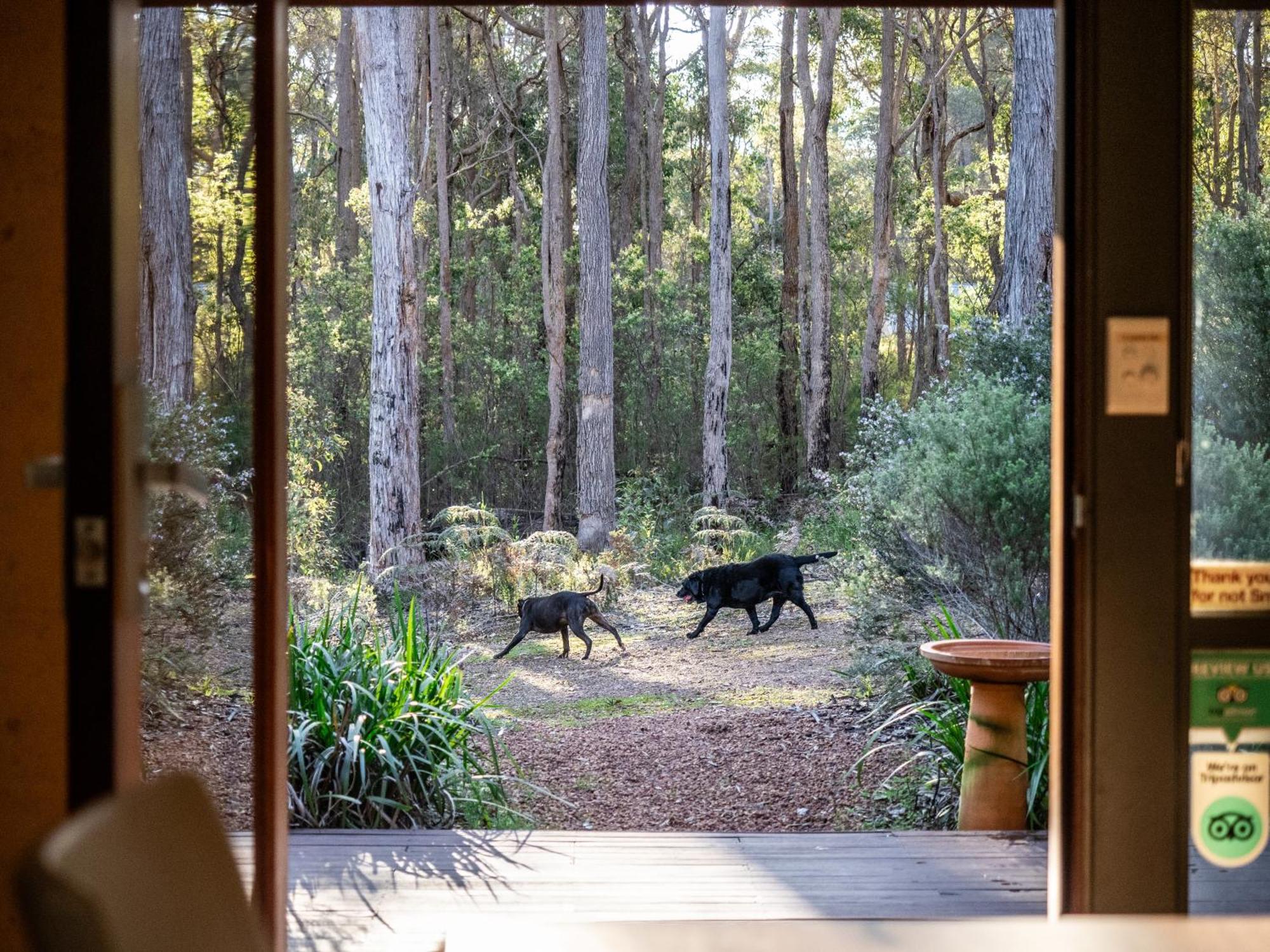 Jarrah Grove Forest Retreat - Adults Only Luxury Chalet Rosa Glen Zewnętrze zdjęcie
