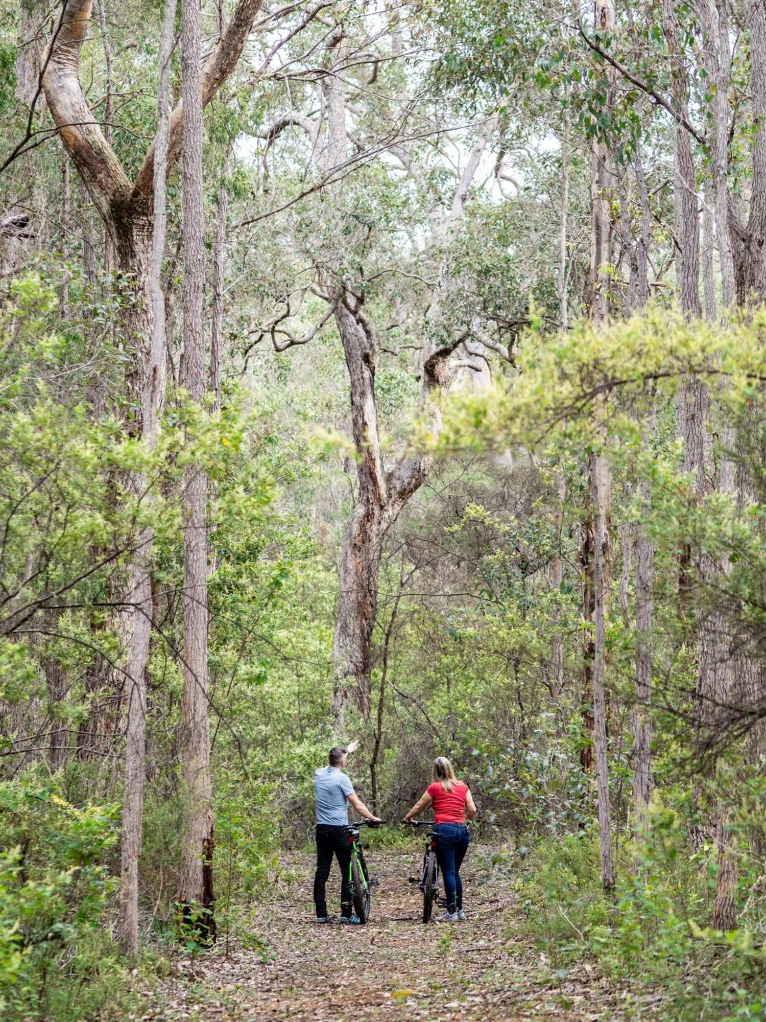 Jarrah Grove Forest Retreat - Adults Only Luxury Chalet Rosa Glen Zewnętrze zdjęcie
